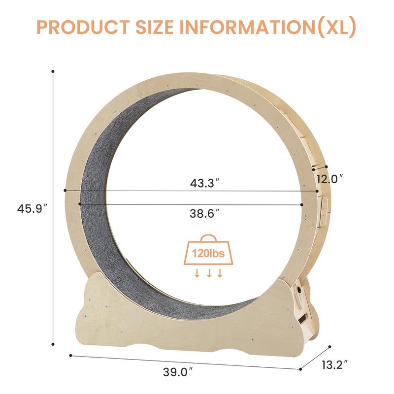 Cat Wheel Exerciser — Built for Health, Safety & Silence