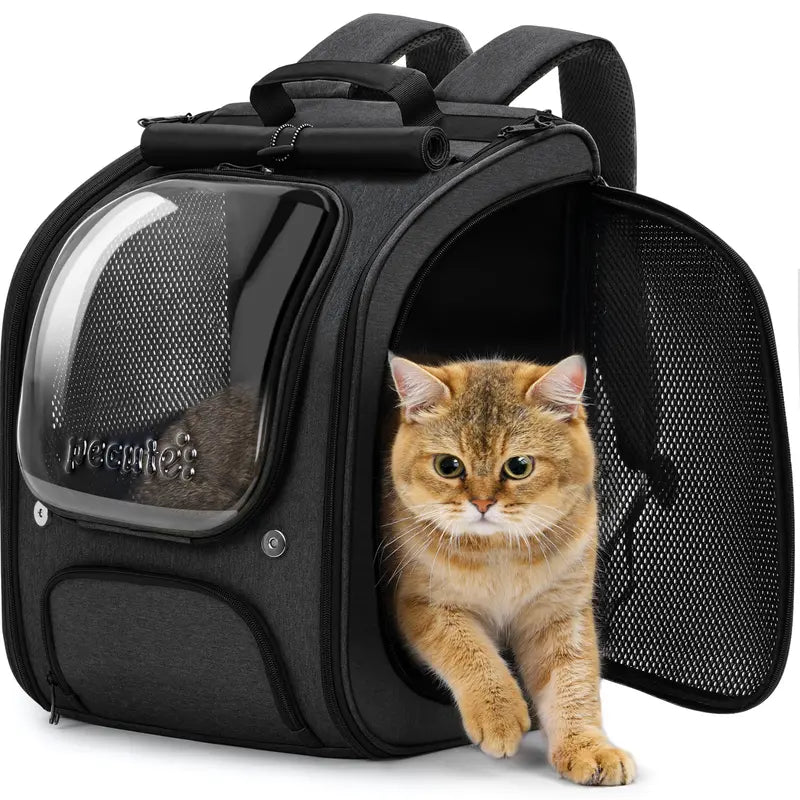 Cat Backpack Carrier — Comfortable Travel for Curious Cats