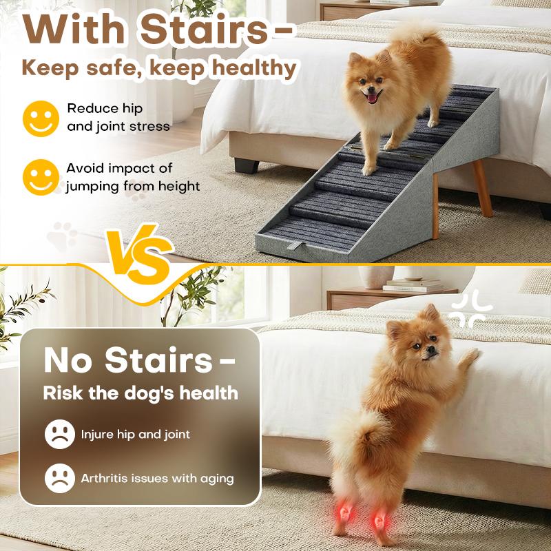 Protect Your Pet’s Joints & Mobility