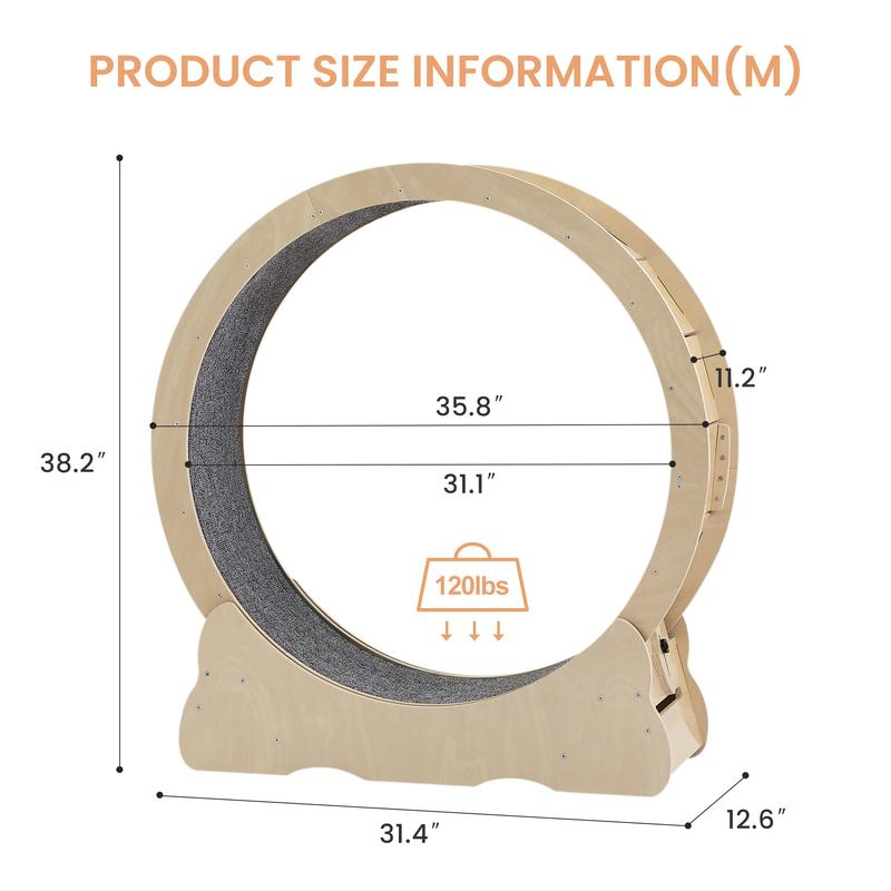 Cat Wheel Exerciser — Built for Health, Safety & Silence