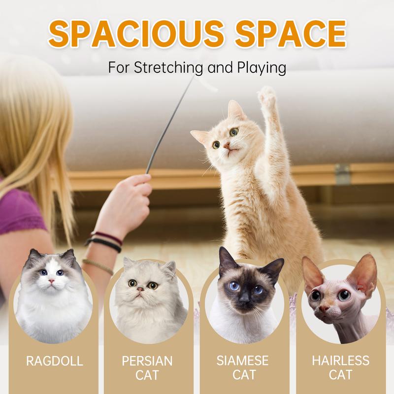 Cat Wheel Exerciser — Built for Health, Safety & Silence