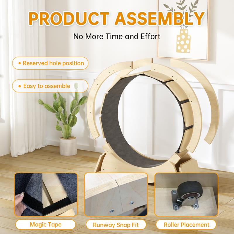 Cat Wheel Exerciser — Built for Health, Safety & Silence