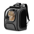 Cat Backpack Carrier — Comfortable Travel for Curious Cats